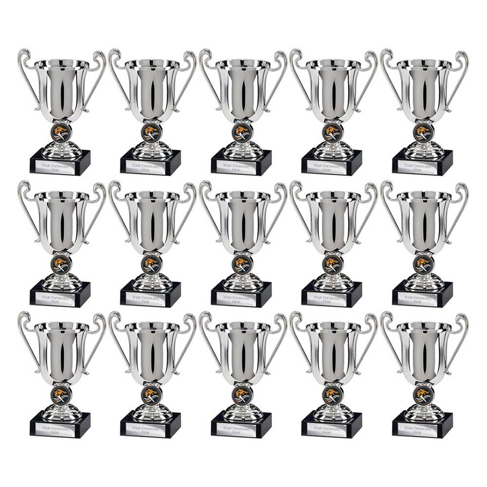 Champions Silver Plastic Cup Trophy