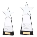 Houston Crystal Award