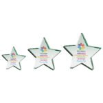 Aurora Jade Star Glass Award