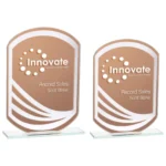 Argon Mirrored Glass Award Bronze