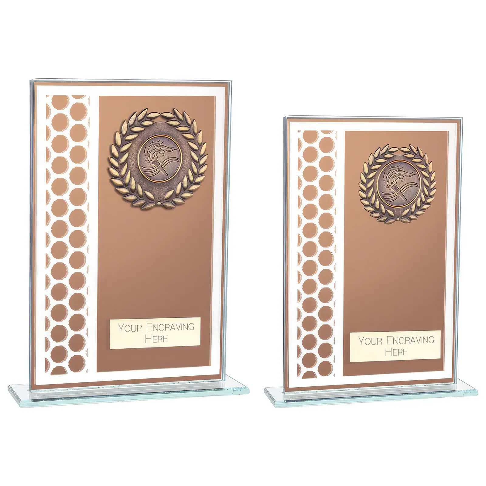 CR23575 Titanium Multisport Glass Award Bronze - Image 1