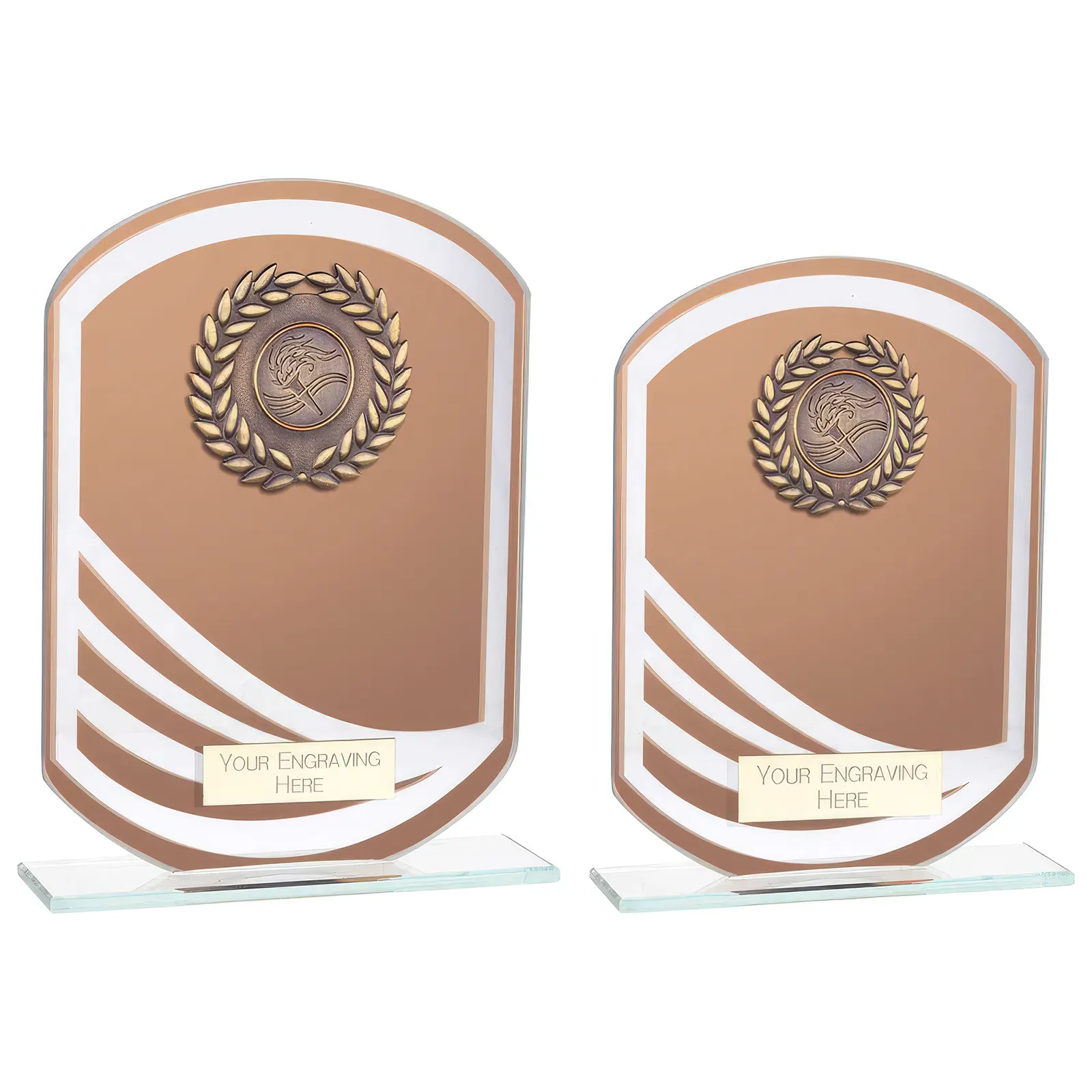 CR23578 Argon Multisport Glass Award Bronze - Image 1