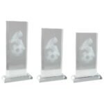 Motivation Football Crystal Award