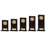 Hero Multisport Glass Award Black