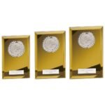 Mirage Multisport Mirror Plaque Gold