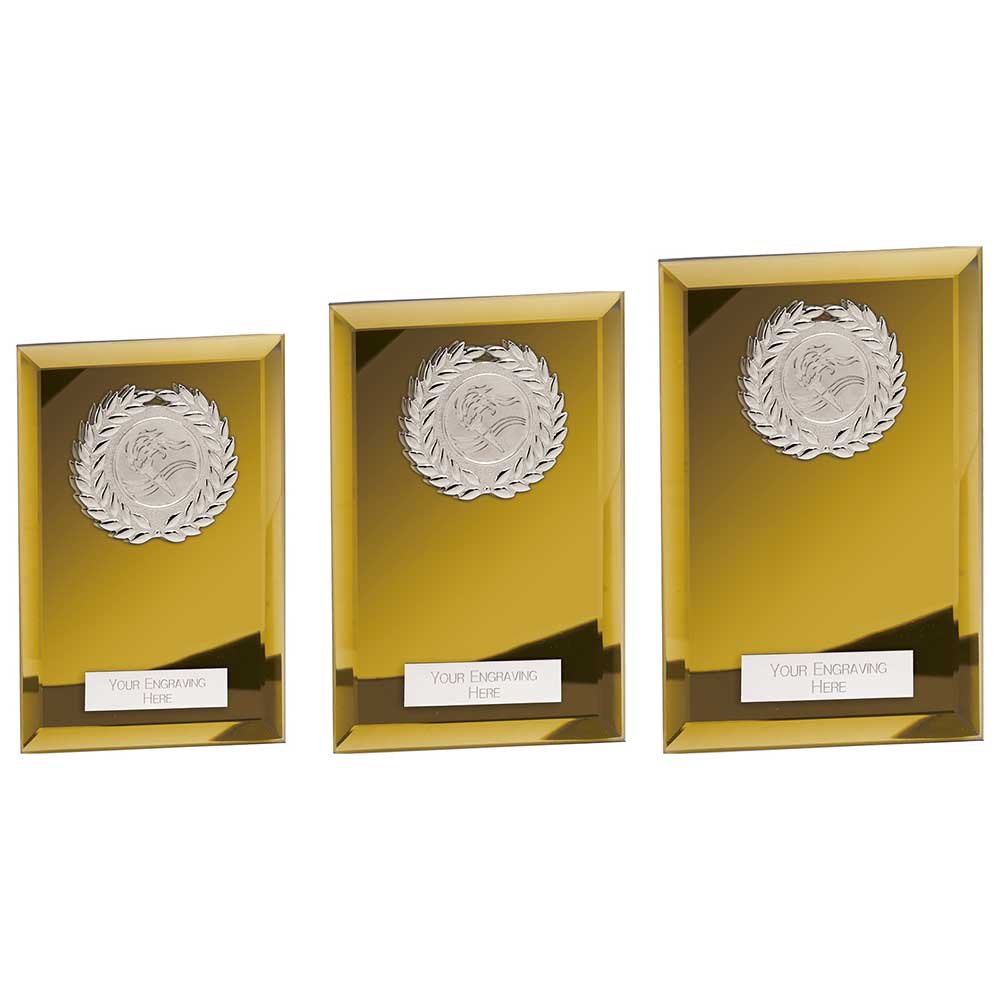 CR24600.jpg Mirage Multisport Mirror Plaque Gold - Image 1