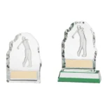Challenger Golf Glass Award