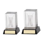 Conquest Cricket 3D Crystal Award