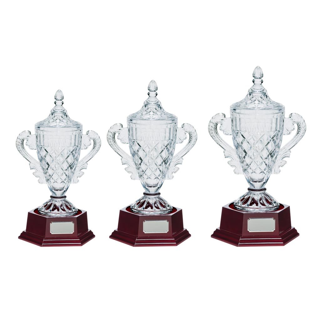 CR7226.jpg Lindisfarne Champions Cup Vase & Base - Image 1