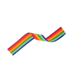 Medal Ribbon Rainbow 395x22mm