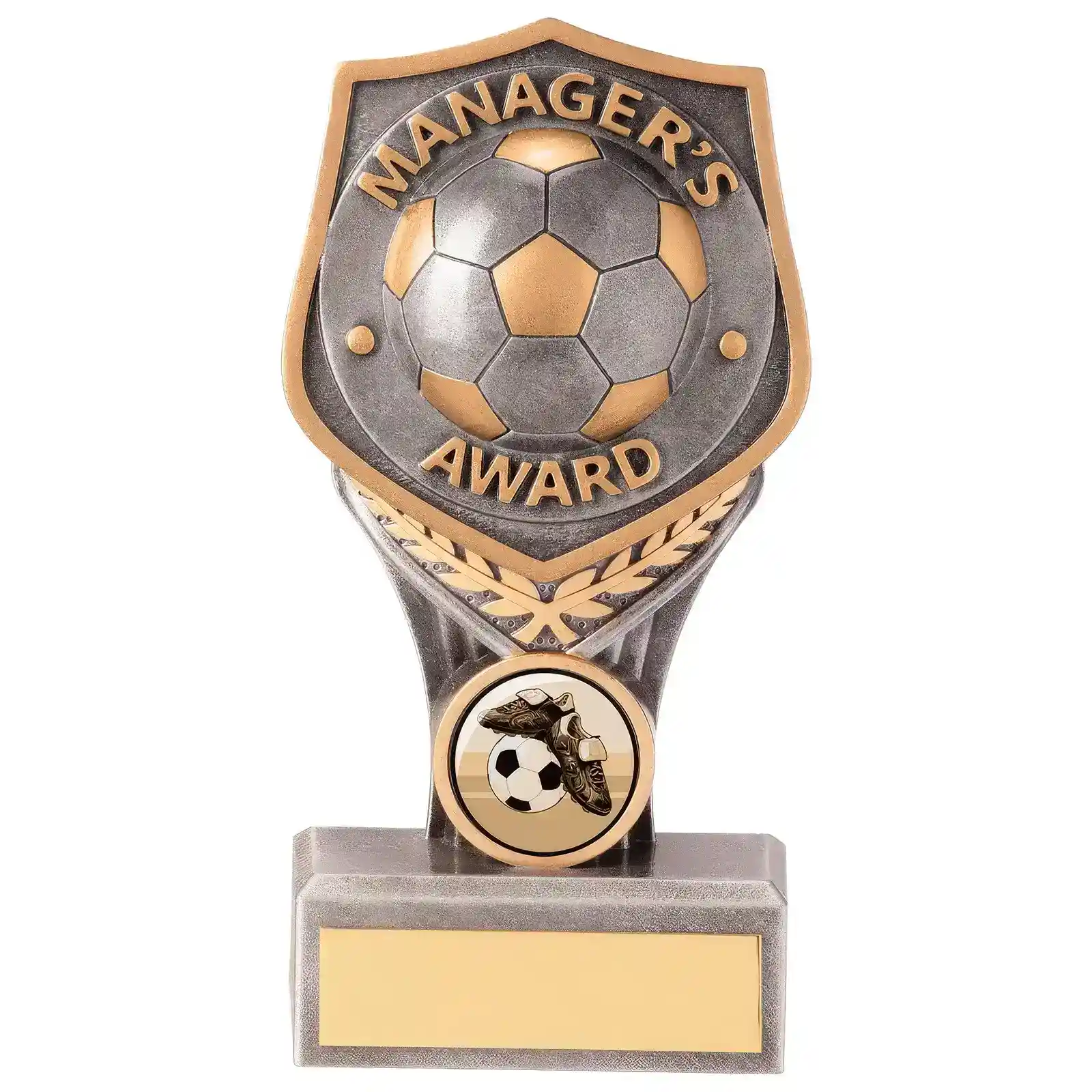 PA20043 Falcon Football Manager's Award - Image 1