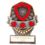 Falcon School House Red Award