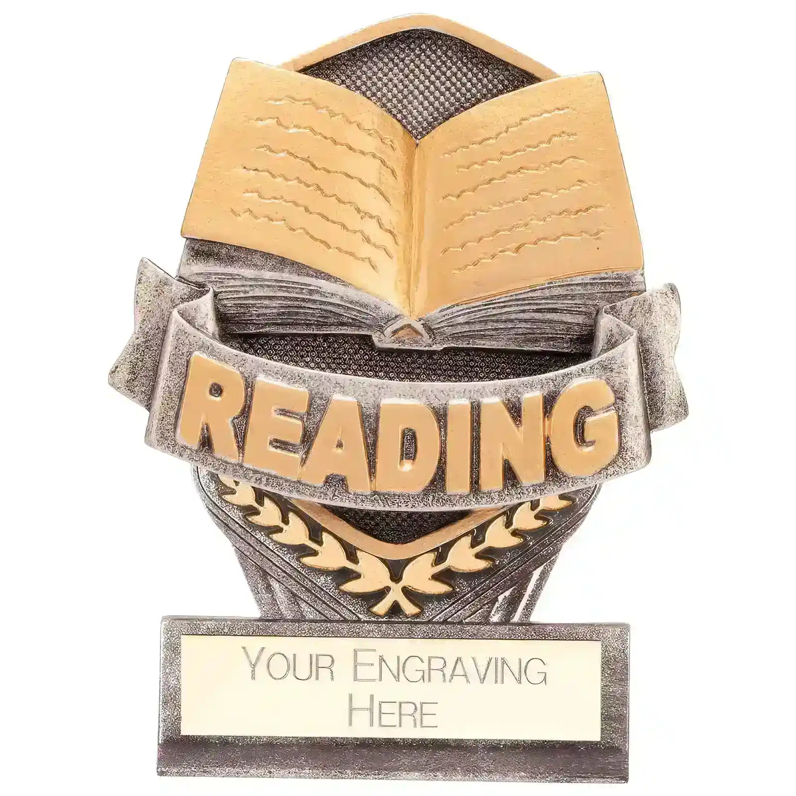 PA22078 Falcon School Reading Award - Image 1