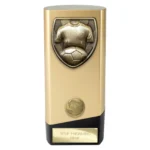 Prime Cobra Football Shirt & Ball Award Gold & Black