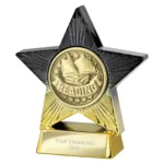 Superstar Reading Award Black & Gold