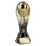 The Winning Goal Football Heavyweight Gold & Carbon Black