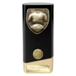 Prime Cobra Football Shirt & Ball Award Black & Gold