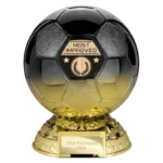 Elite Heavyweight Most Improved Award Carbon Black to Gold