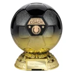 Elite Heavyweight Thank you Coach Award Carbon Black to Gold