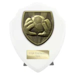 Cobra Shield Football Goal Keeper Award Arctic White