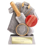 Spirit Cricket Resin Award Antique Silver & Gold100mm