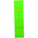 Recognition 3rd Place Ribbon Green 200 x 50mm