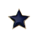 Scholar Pin Badge Star Blue / Green / Red / Yellow