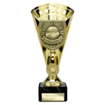 Cobra Star Cup Player of Year Gold