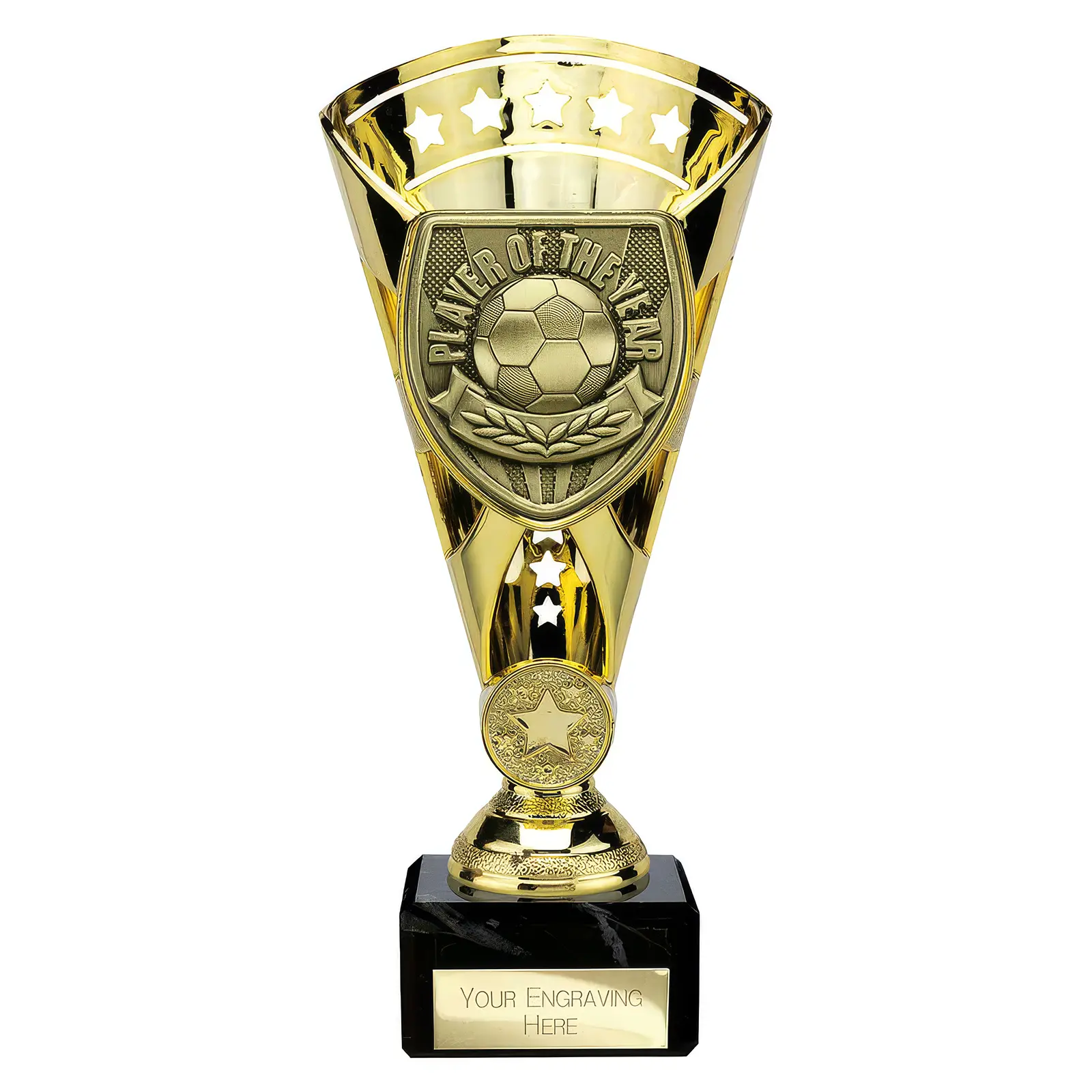 TG25111 Cobra Star Cup Player of Year Gold - Image 1