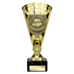 Cobra Star Cup Player of Match Gold