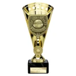 Cobra Star Cup Top Scorer Gold