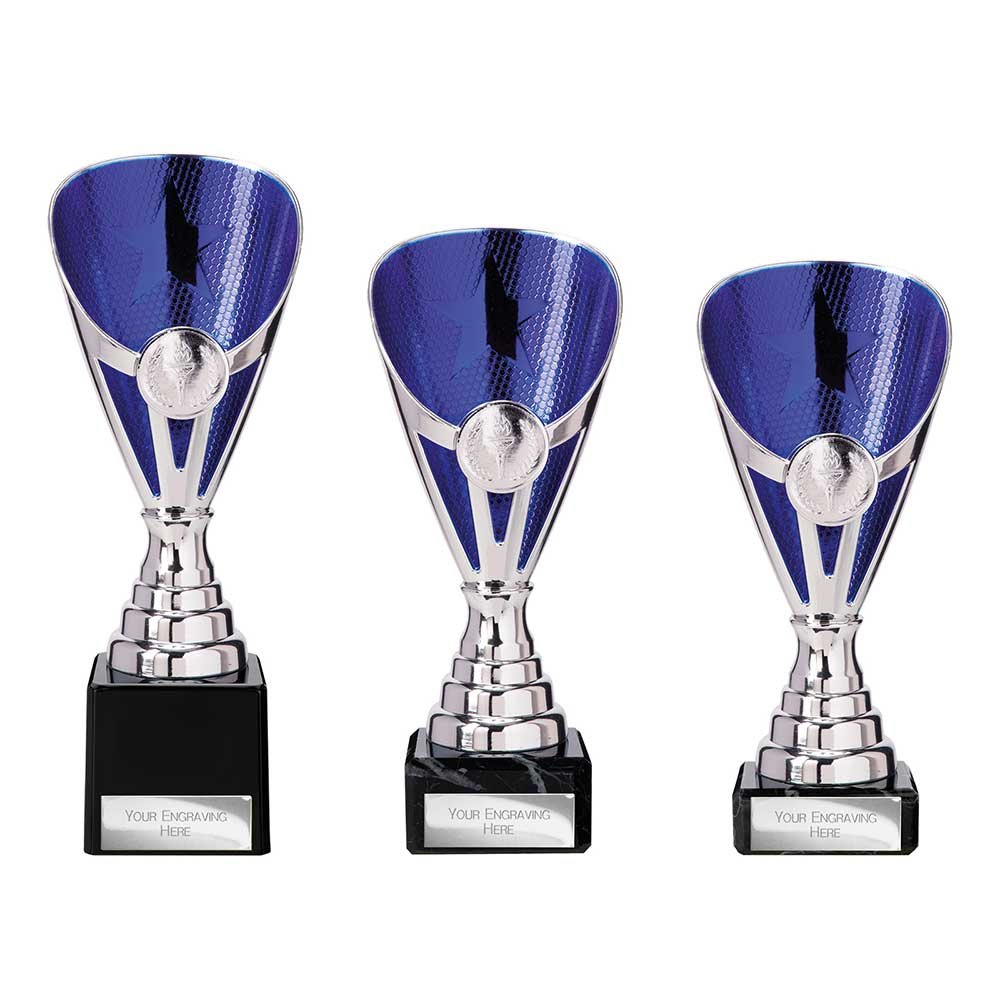 TR20538.jpg Rising Stars Premium Plastic Trophy Silver & Blue - Image 1