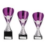 Rising Stars Premium Plastic Trophy Silver & Purple