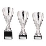 Rising Stars Premium Plastic Trophy Silver