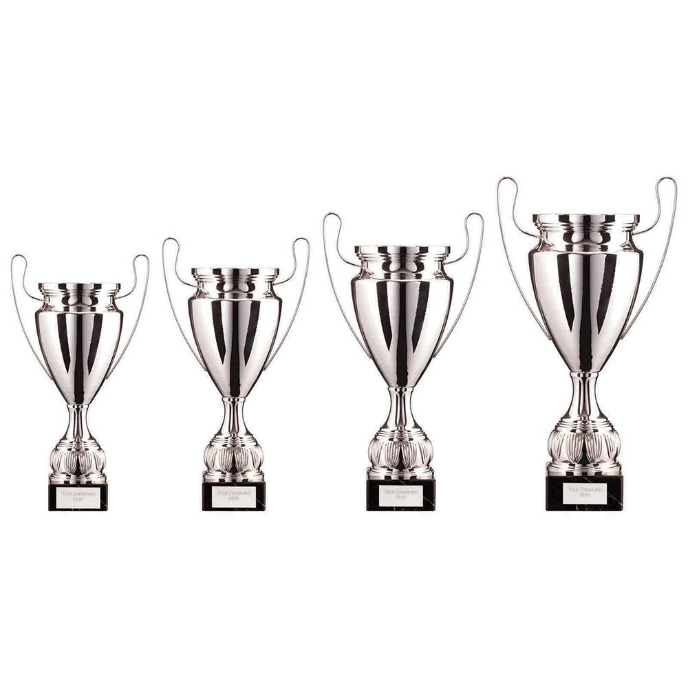 TR22521.jpg EuroStars Cup Silver - Image 1