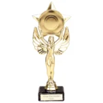 Victory Star Multisport Trophy Gold 210mm