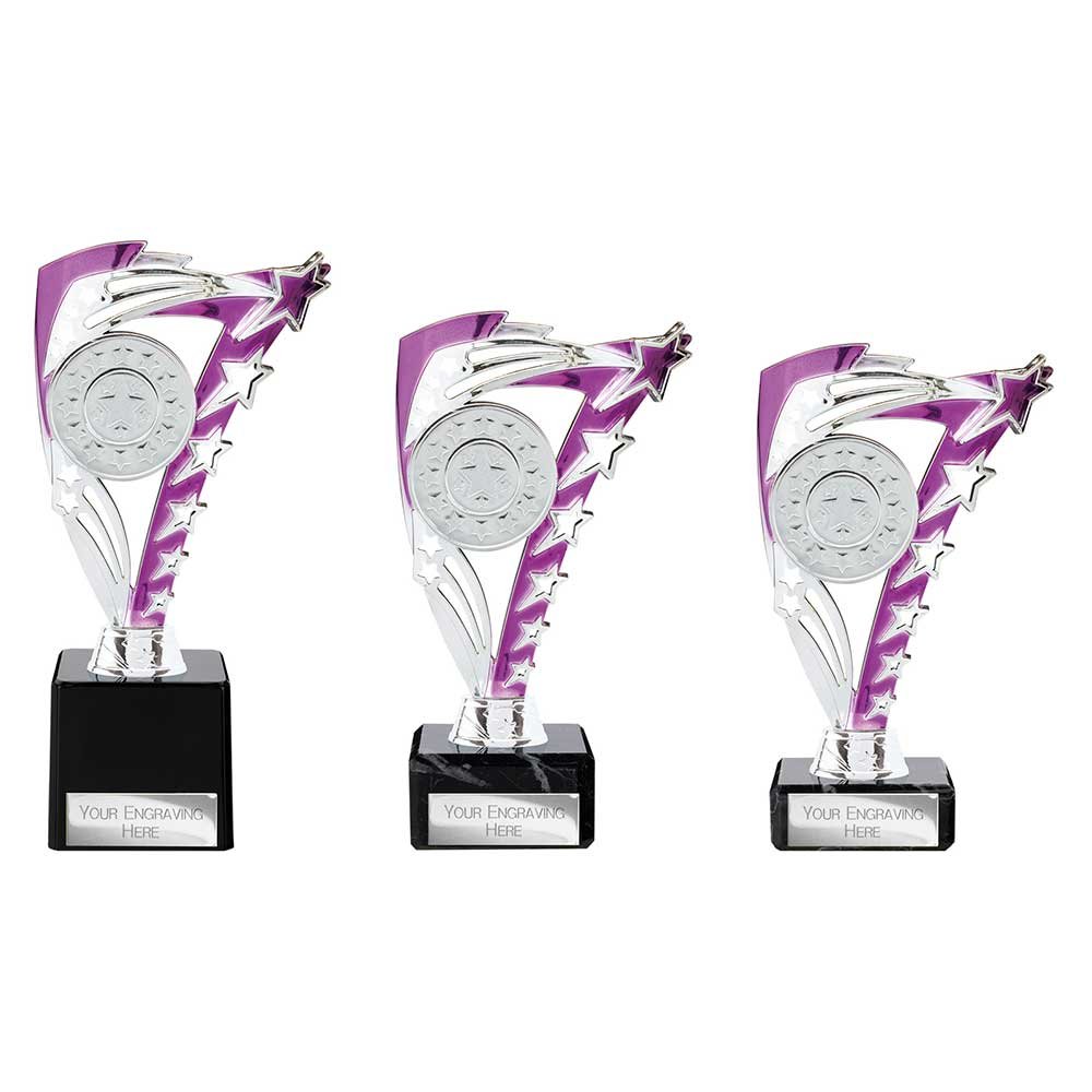 TR24513.jpg Frenzy Multisport Trophy Silver & Purple - Image 1