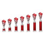 Hurricane Multisport Plastic Tube Cup Silver & Red