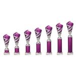 Hurricane Multisport Plastic Tube Cup Silver & Purple