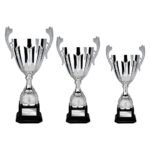 Spartan Cup Silver