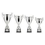 Endeavour Super Cup