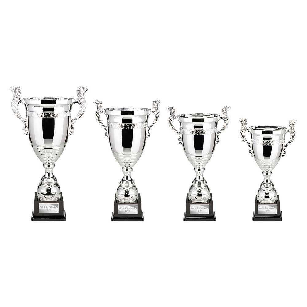 TR25514.jpg Endeavour Super Cup - Image 1