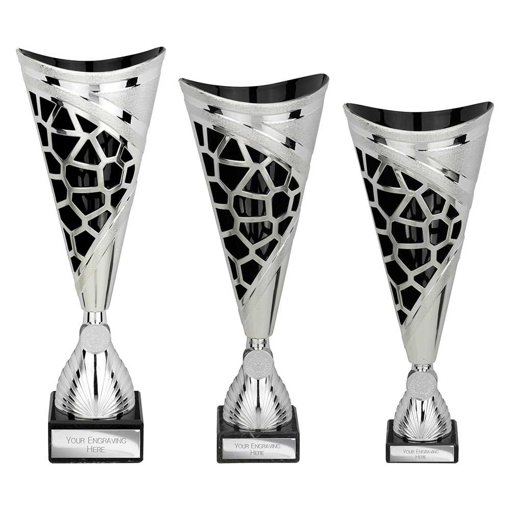 TR25535.jpg Vivid Trophy Silver & Black - Image 1