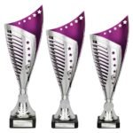 Nebula Trophy Silver & Purple