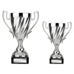 Intrepid Trophy Silver