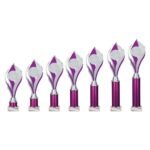 Volcano Multisport Tube Trophy Silver & Purple