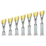 Predator Multisport Tube Trophy Silver & Gold