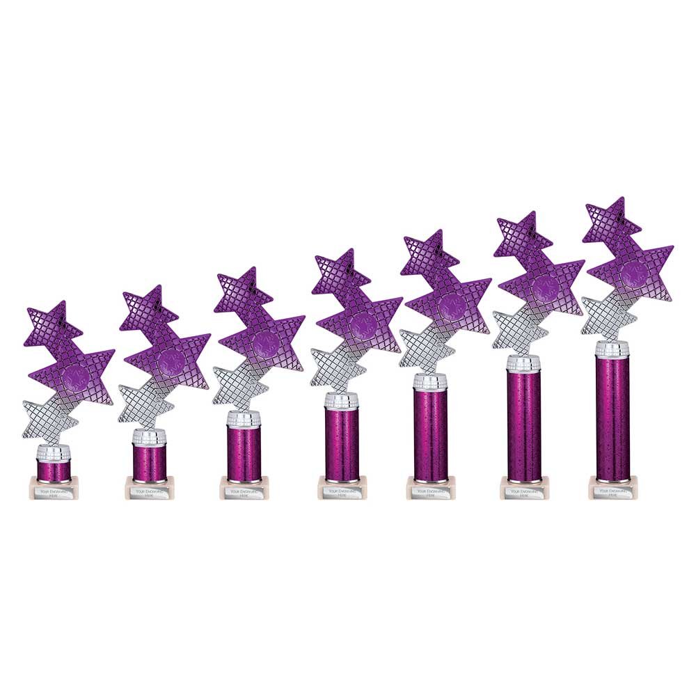 TR25601.jpg Trinity Star Multisport Tube Trophy Purple & Silver - Image 1
