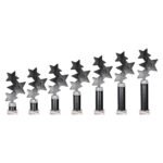 Trinity Star Multisport Tube Trophy Black & Silver