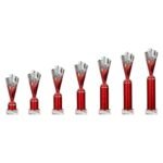 Rodeo Multisport Tube Trophy Silver & Red